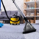 Carpet Cleaning Myths Busted: What Works (and What’s a Waste)